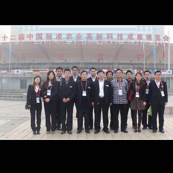 �����̺�Ӱ